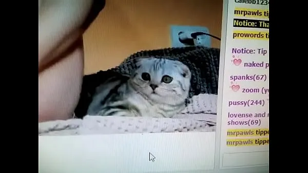 HD Camgirl masturbating next to scared cat energy Clips