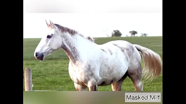 HD Horny Milf takes giant horse cock dildo compilation | Masked Milf مقاطع الطاقة