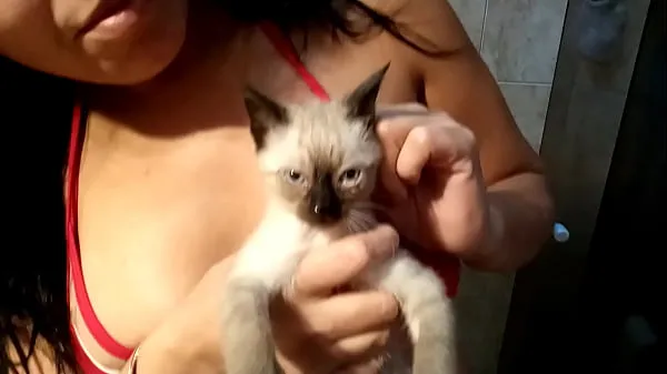 HD Sarah Rosa │ Series │ Cats & Cats │ Bathing with Gustavo ║ In this Video She Shows Us How She Did to Bathe Her Kitty Gustavo energieclips